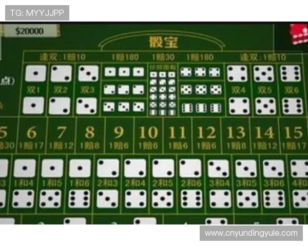 澳门骰宝赔率分析：影响赔率变化的关键因素与实用技巧